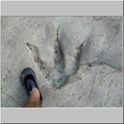 100_0457 (2009-26-07)m.JPG